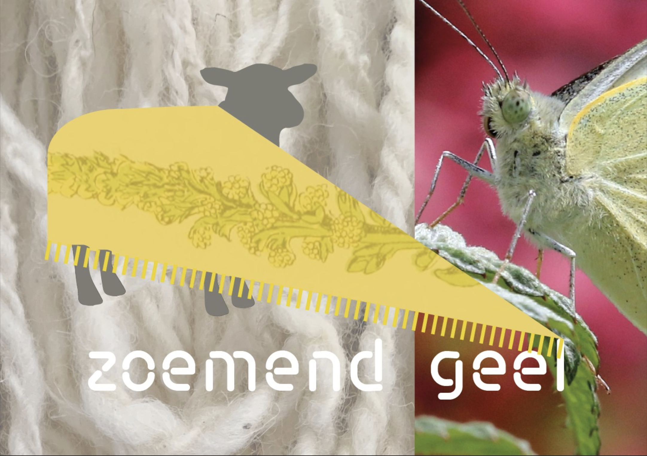 PLEED x Zoemend Geel – Wol, kleur en biodiversiteit (dag 1)